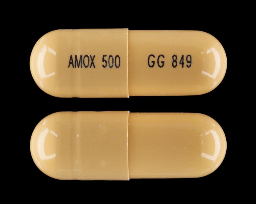 how many times a day to take amoxicillin 500mg for uti